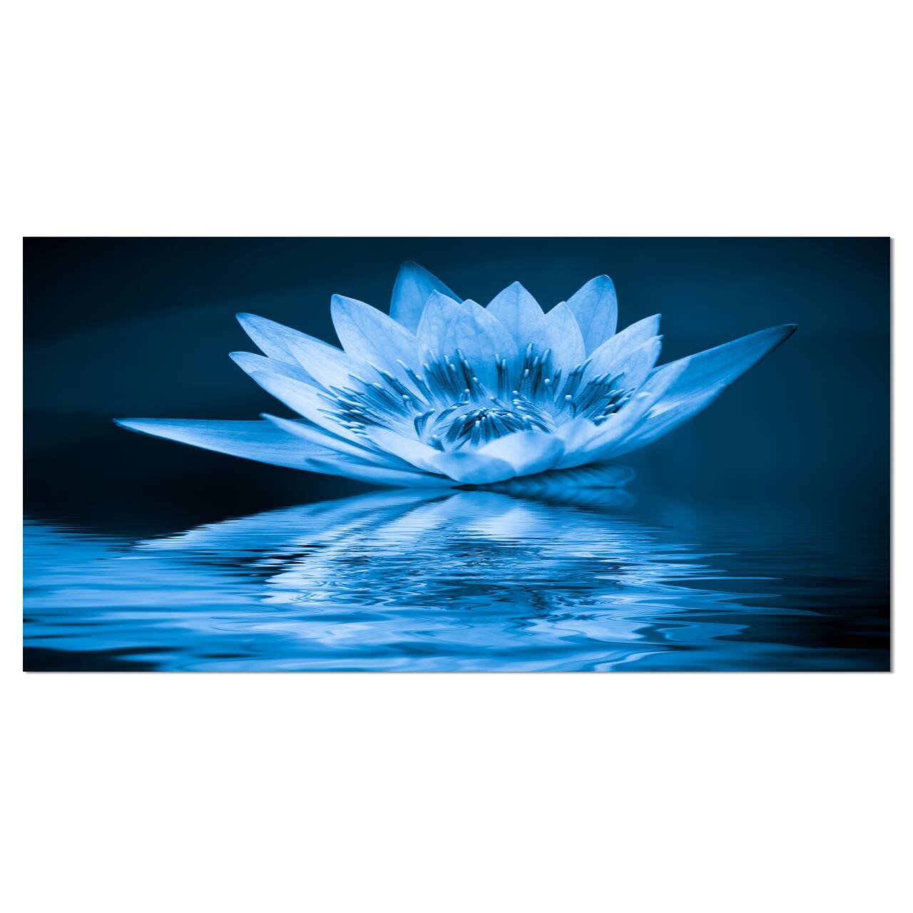 Designart - Blue Water Lily - Floral Art Canvas Print